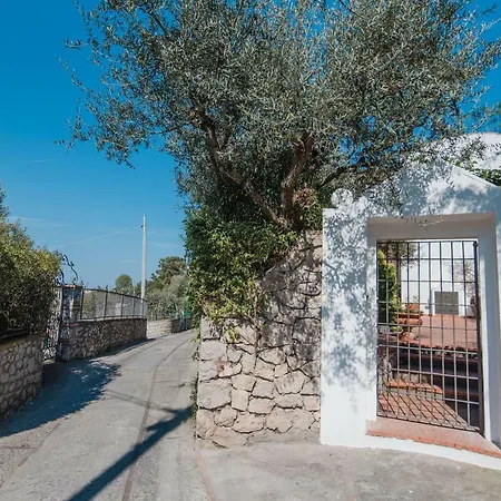 Panoramic Caprese With Garden Near Grotta Azzurra Anacapri (Isola di Capri)